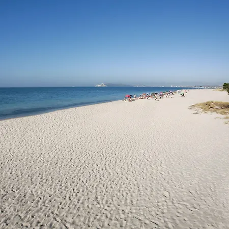 Califfo كوارتو سانتيلينا