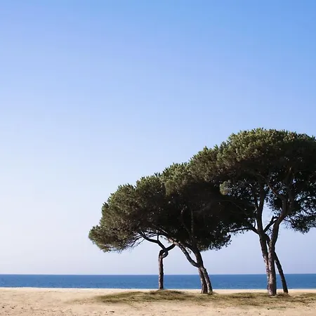 Califfo 4* كوارتو سانتيلينا