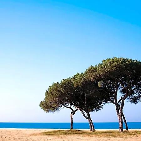 Ξενοδοχείο Califfo 4*