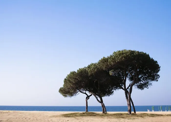 Califfo 4* Quartu SantʼElena